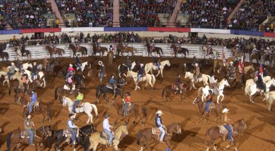 How to Rodeo: Experience the Fort Worth Stock Show & Rodeo
