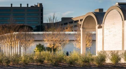 Top Free Things To Do in Fort Worth