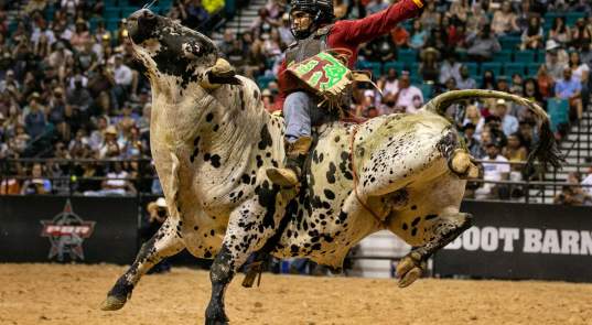 Bill Pickett Rodeo