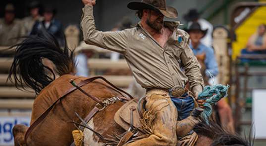 Red Steagall Cowboy Gathering