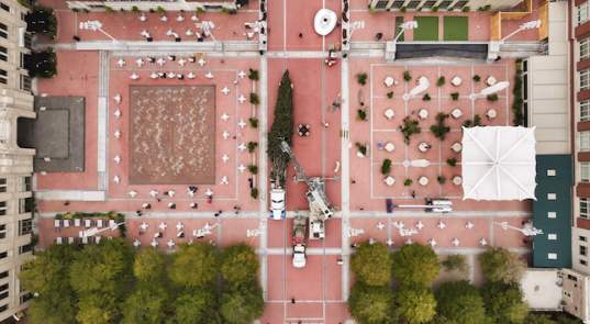 79th Christmas Tree Lighting in Sundance Square