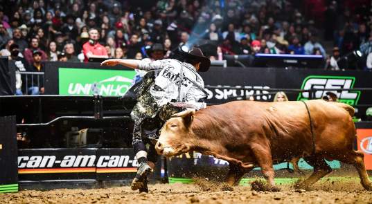 Ultimate Bullfighters