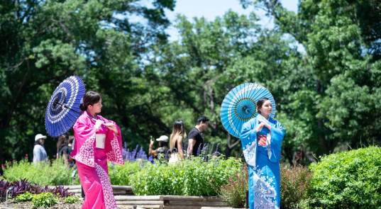 Japanese Spring Festival