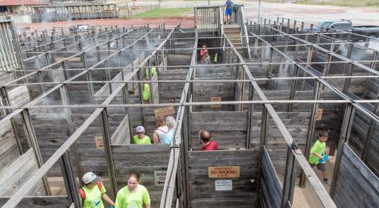 Cattle Pen Maze