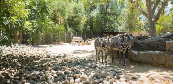 Sacramento Zoo