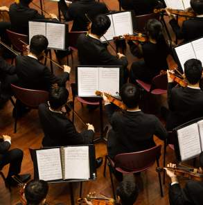 Donec Vestibulum Philharmonic