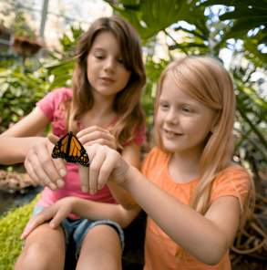 2 children with butterfly