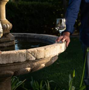 Wine Trail