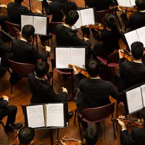 Donec Vestibulum Philharmonic