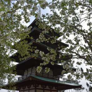 What is the Tower of Compassion?