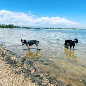 Explore Longmont’s Hidden Gems: Unique Trip Ideas for Adventurers