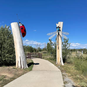 Bug Sculptures