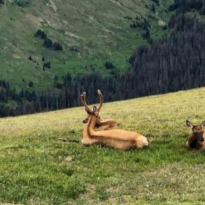 Longmont: Your Perfect Basecamp for Rocky Mountain National Park