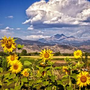 A Long Weekend of Summer in Longmont: The Place with Space