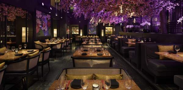 Tattu blossom interior