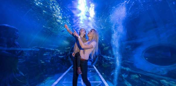 A woman and child point in wonder at the aquatic animals in a walk-through aquarium at the Sea Life Centre in Birmingham