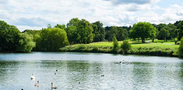 Sandwell Valley Country Park