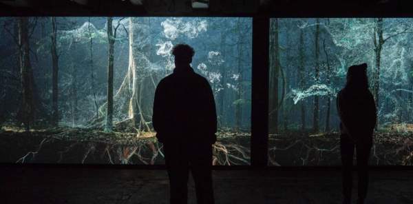 Breathing with the Forest