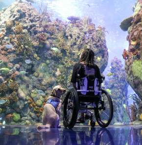 Going the Extra Mile: A Guide to Accessibility in Branson 