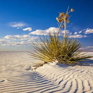 White Sands National Park