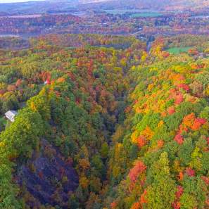 A Guide to All Things Autumn: Fall Colors of Syracuse