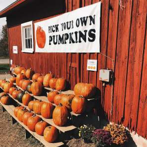October Events & Activities