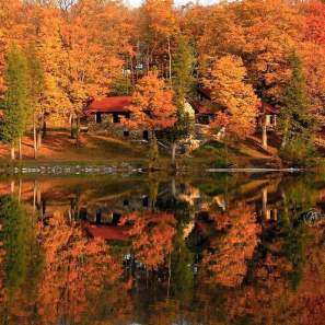 Top Things to Do This Fall in Syracuse, NY