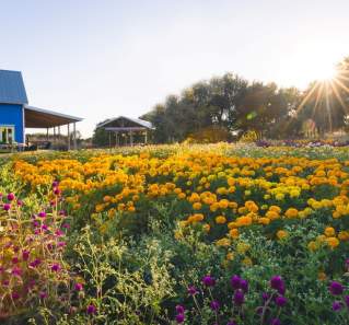 Day Trip Destination: Blanco