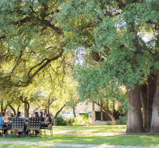 Photo of people sitting around a table in the yard at Spicewood Vineyards under tall green trees