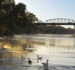 Photo of the Downtown Bastrop Bridge at sunrise with sunlight filtering through trees onto the river and some white ducks on the water in the foreground.
