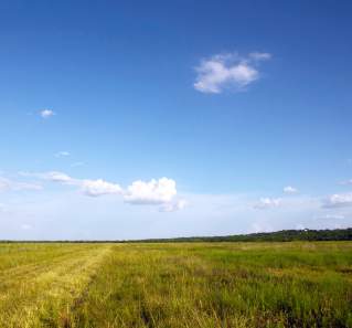 Flat prairie land with a blue sky dotted with small, fluffy clouds.