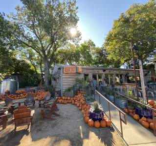 Top Things to Do in Austin This Fall