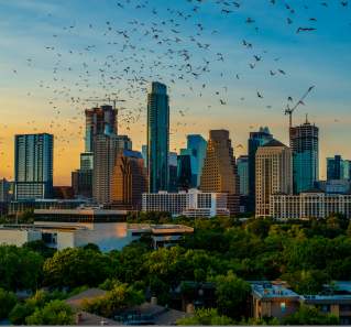 Austin skyline as the sun is setting with a cloud of bats in the foreground.