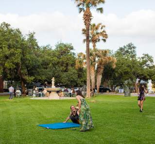 Austin Museum Day 2025 Attractions & Galleries