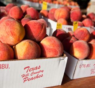 Fredericksburg peaches