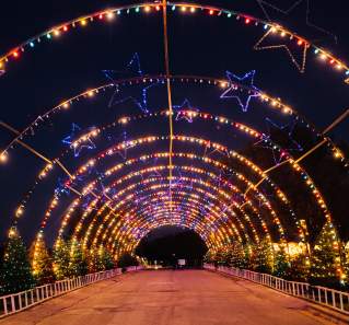 Tunnel at the Austin Trail of Lights