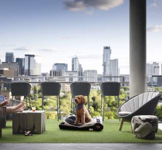 Austin's Top Pet-Friendly Hotels