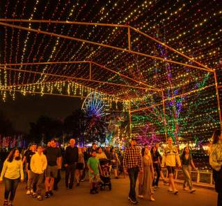 Image of a large group of people walking under the tunnel of lights.