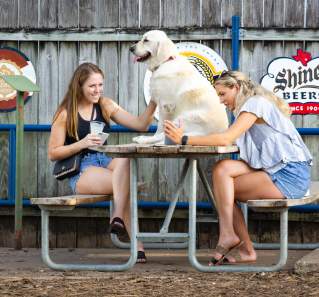 Dog-Friendly Restaurants in Austin