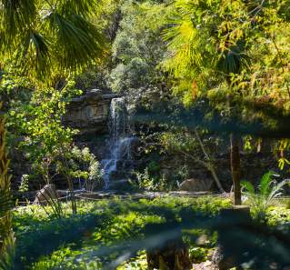 Visiting the Zilker Botanical Garden