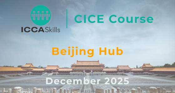 ICCASkills CICE Course - Beijing December 2025 Class
