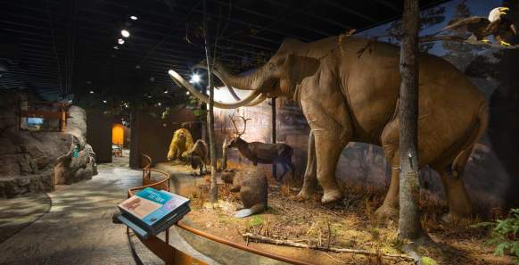 Exhibit at Museum of York County