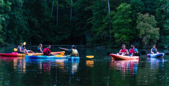 kayak tour