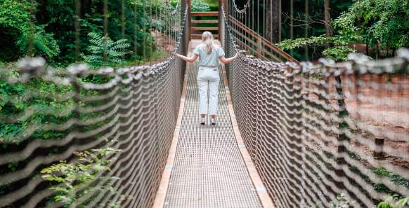 10 Things to do at the Anne Springs Close Greenway