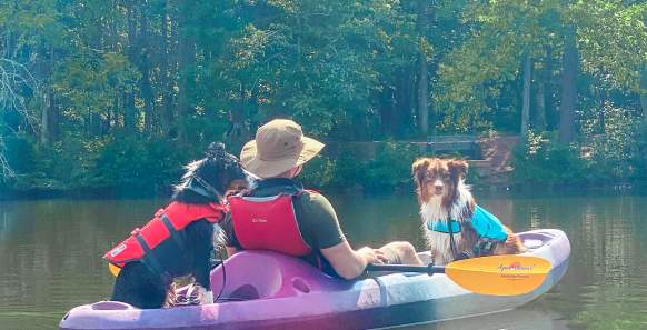 Dog-Friendly Itinerary in York County, South Carolina