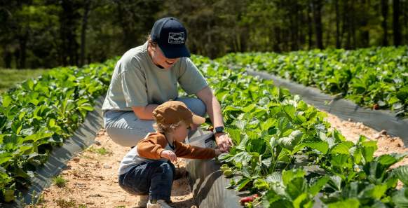 Spring Returns to the Farm: Agritourism Season Kicks Off Across York County