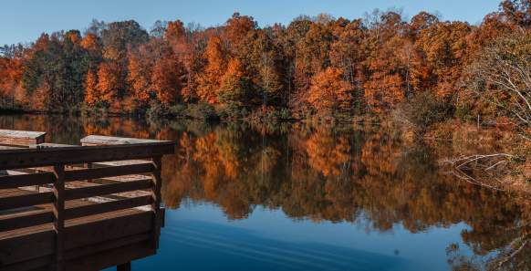Top Spots for Fall Foliage in York County, South Carolina