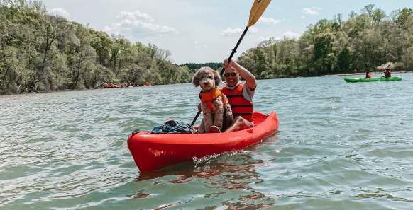 Everywhere You Need To Take Your Dog in York County