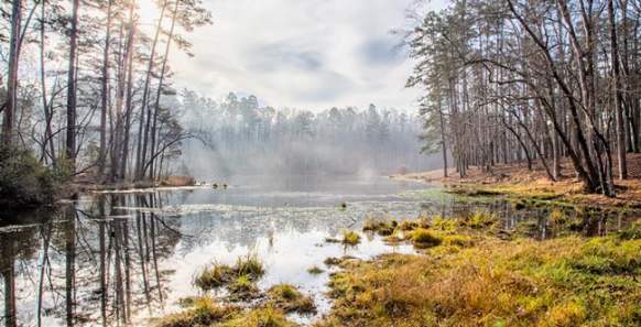 Kings Mountain State Park