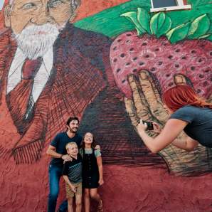 Splitlog Mural